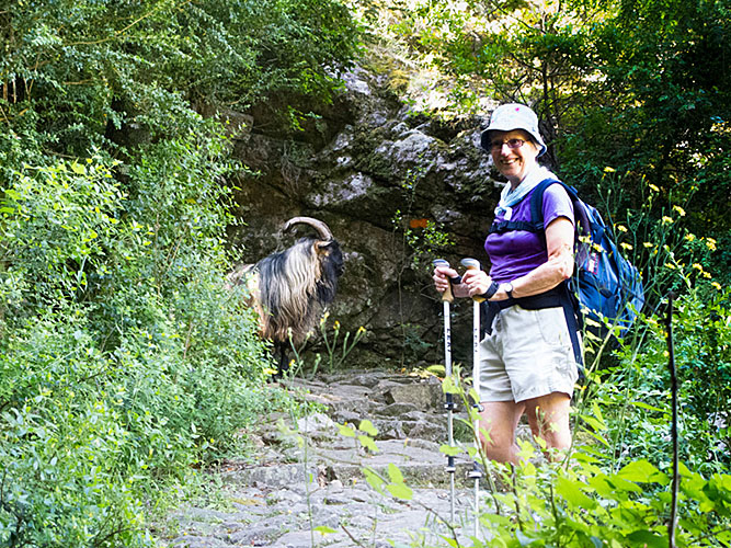 Sardinia and Corsica 2013